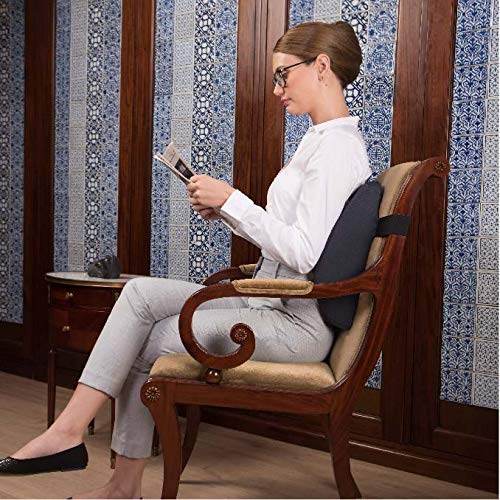 Back Rest Support Cushion for Office Chair and Car Seat - Guleel