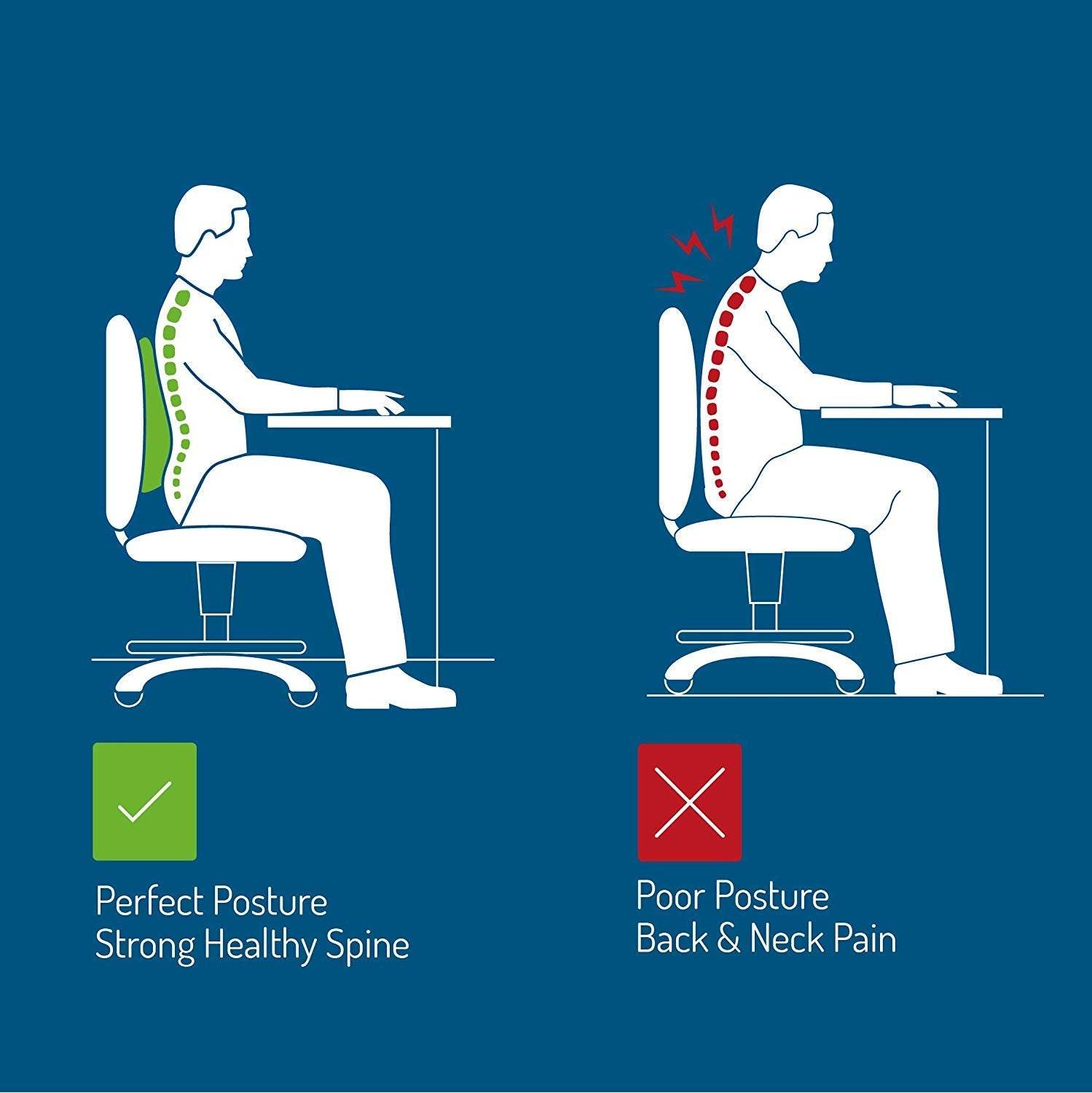 Back Rest Support Cushion for Office Chair and Car Seat - Guleel