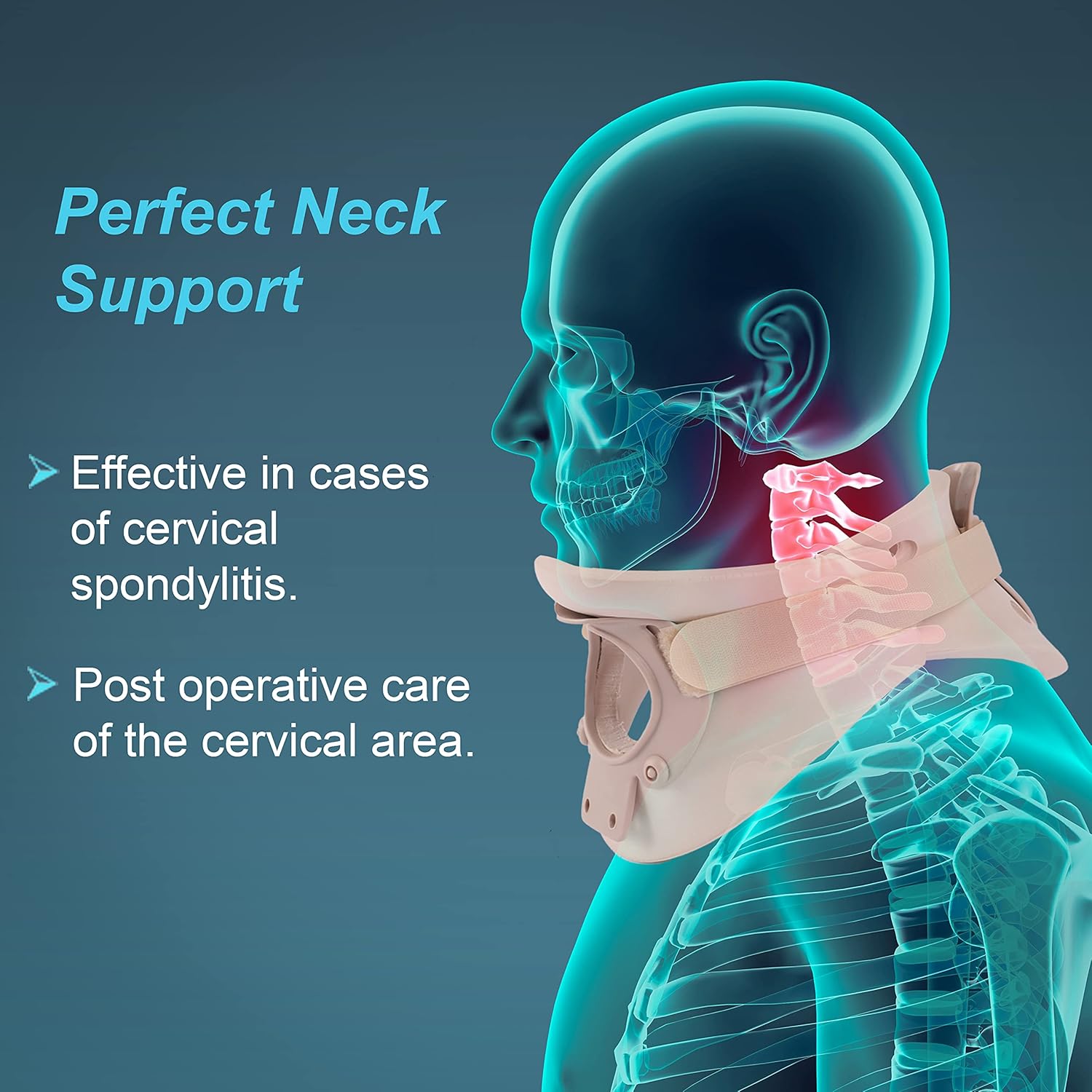 Cervical Orthosis (Philadelphia) Collar for Neck Support & Pain Relief, Post-Surgery, Injury & Arthritis, Comfortable & Durable for Men & Women